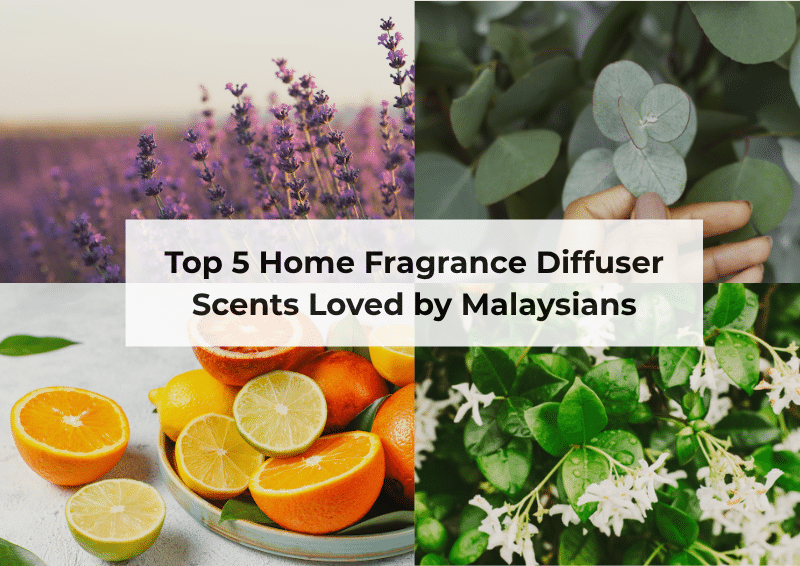 Home fragrance diffuser with lavender, citrus, vanilla, eucalyptus & jasmine scents in Malaysia